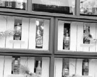 Gin Tasting Event