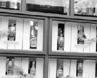 Gin Tasting Event