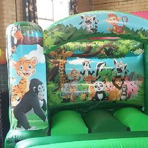jungle castle 1