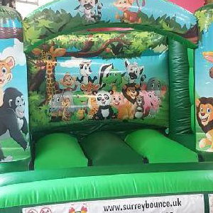 jungle castle 1
