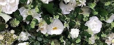 Greenery Flower Wall