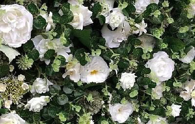 Greenery Flower Wall