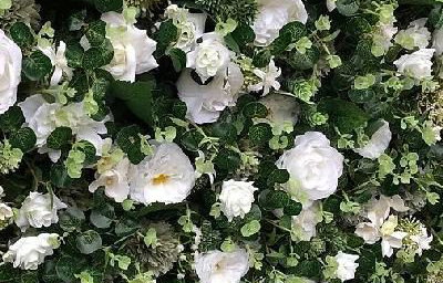 Greenery Flower Wall