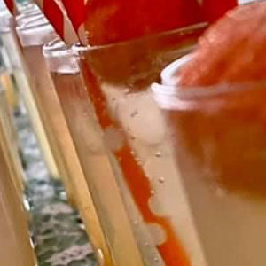 Halloween Cocktails