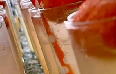 Halloween Cocktails