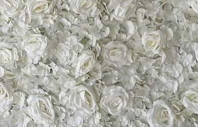 received_769935257312480