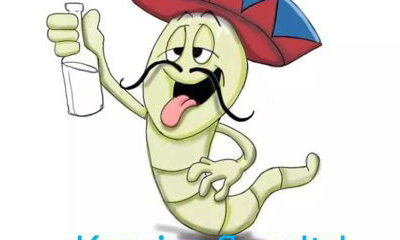 Kravingflava ltd