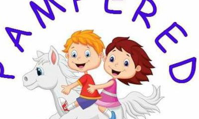 Pampered Ponies