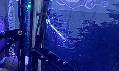 Krazykidzpartybus Ltd