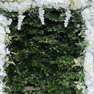 Juliets floral arch 