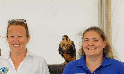 Cj'S Birds Of Prey