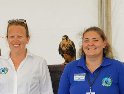CJ'S BIRDS OF PREY TEAM