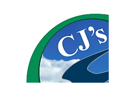 Cj'S Birds Of Prey logo
