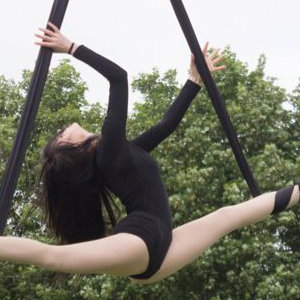Aerial Artists