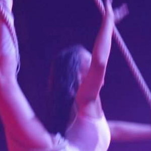 Trapeze artists 