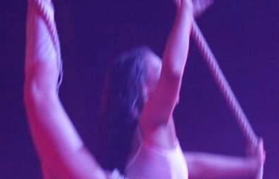 Trapeze artists 