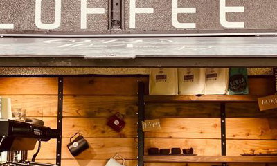 Spangled drongo coffee