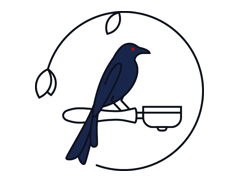 Spangled drongo coffee logo