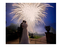 Firework Genix logo