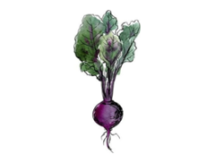 Norfolk County Catering logo