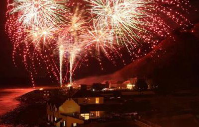 Large Public Bonfire Night Event