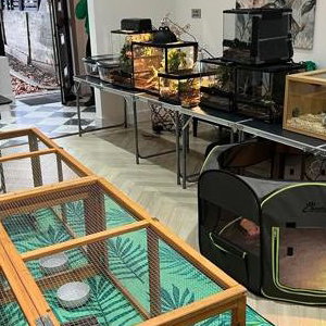 Party set up inside someone's house