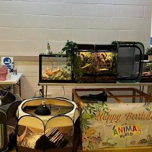 One of our party set ups in a hall