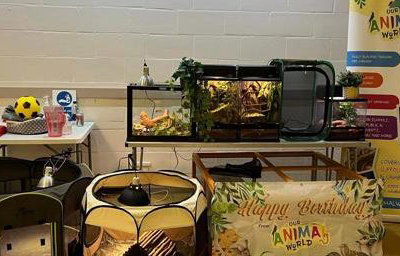 One of our party set ups in a hall