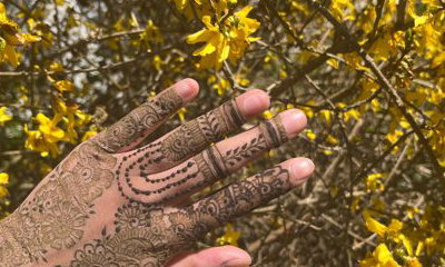 SussexHenna