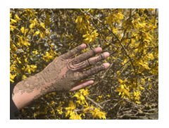 SussexHenna logo