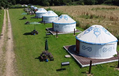 Plush Tenst Glamping Field Yurts