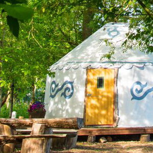 Yurt Plush Tents Glamping