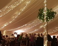 Pealights & Uplighters in Traditional with lining