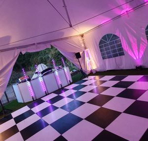 Steelasophical Steel Drummer DJ