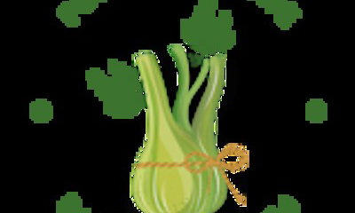 Fennel and Twine
