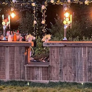 Flower Bar lights