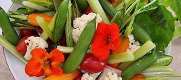 Crudités sweet pea hummus dip