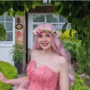 Fairy Party 