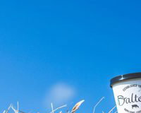daltons pots