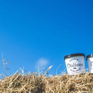 daltons pots