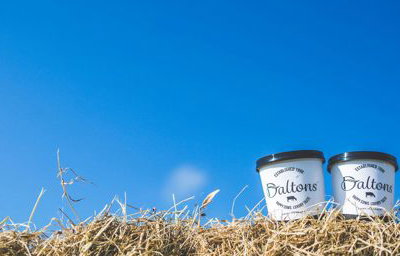 daltons pots
