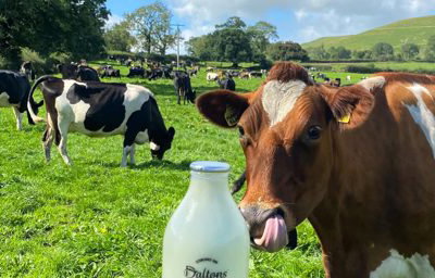 cow milk bottle