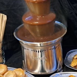 Gravy fountain hire