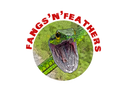 Fangs ‘N’ Feathers Logo