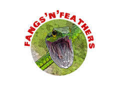 Fangs ‘N’ Feathers logo