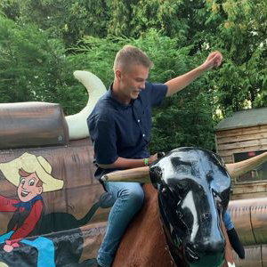 Rodeo Bull Hire