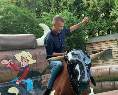 Rodeo Bull Hire