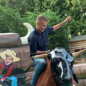 Rodeo Bull Hire