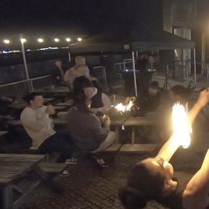 Bison beach bar