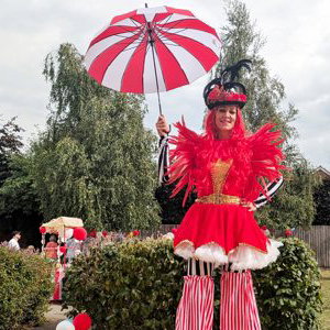 Traditional circus 